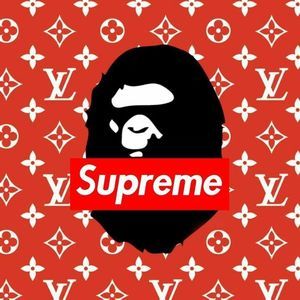 Meet your Posher, David armando